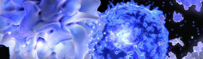 Microscopic view of cells in blue fluorescence showing distinct cellular structures with areas of brighter fluorescence intensity, used for asthma research