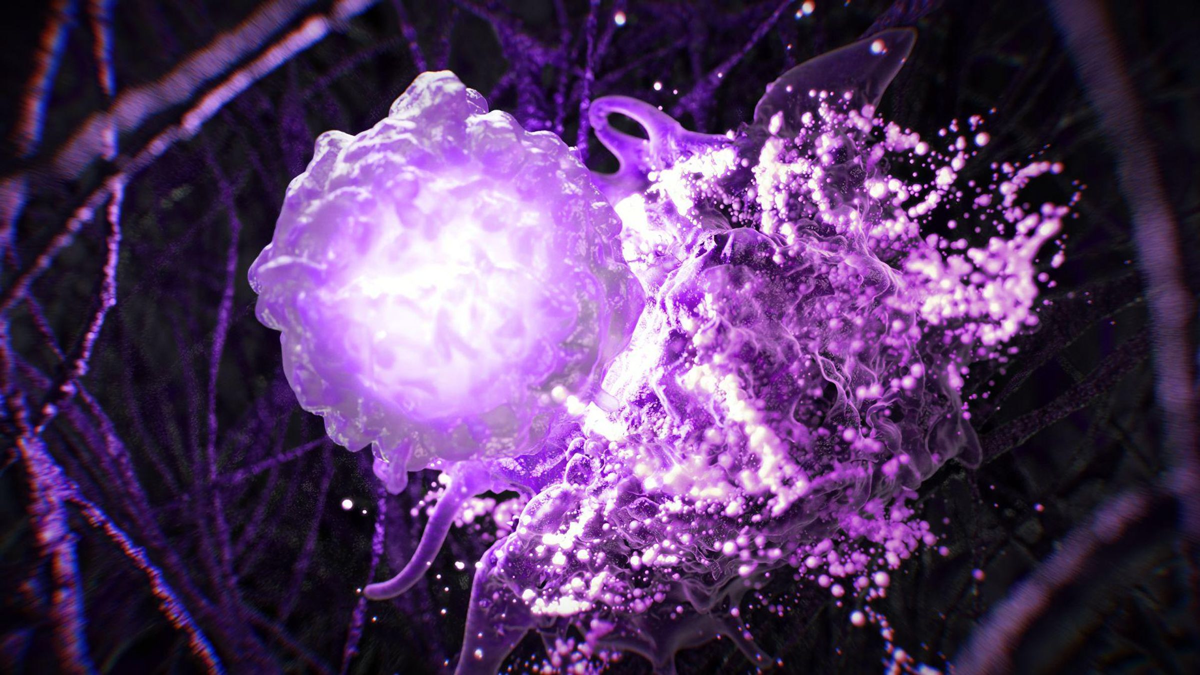 Microscopic view of a T cell attacking a tumor cell