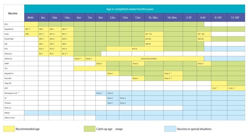 vaccination-schedule