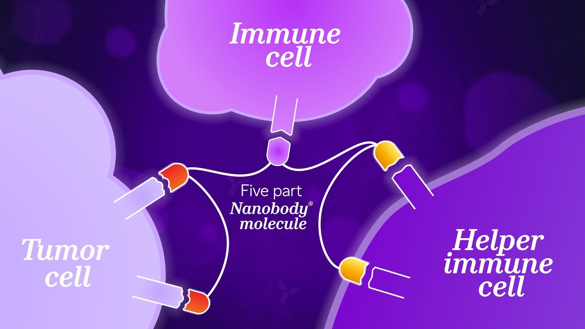 Diagram showing multiple Nanobody subunits connected by flexible linkers, representing a multi-valent therapeutic design for complex targets.