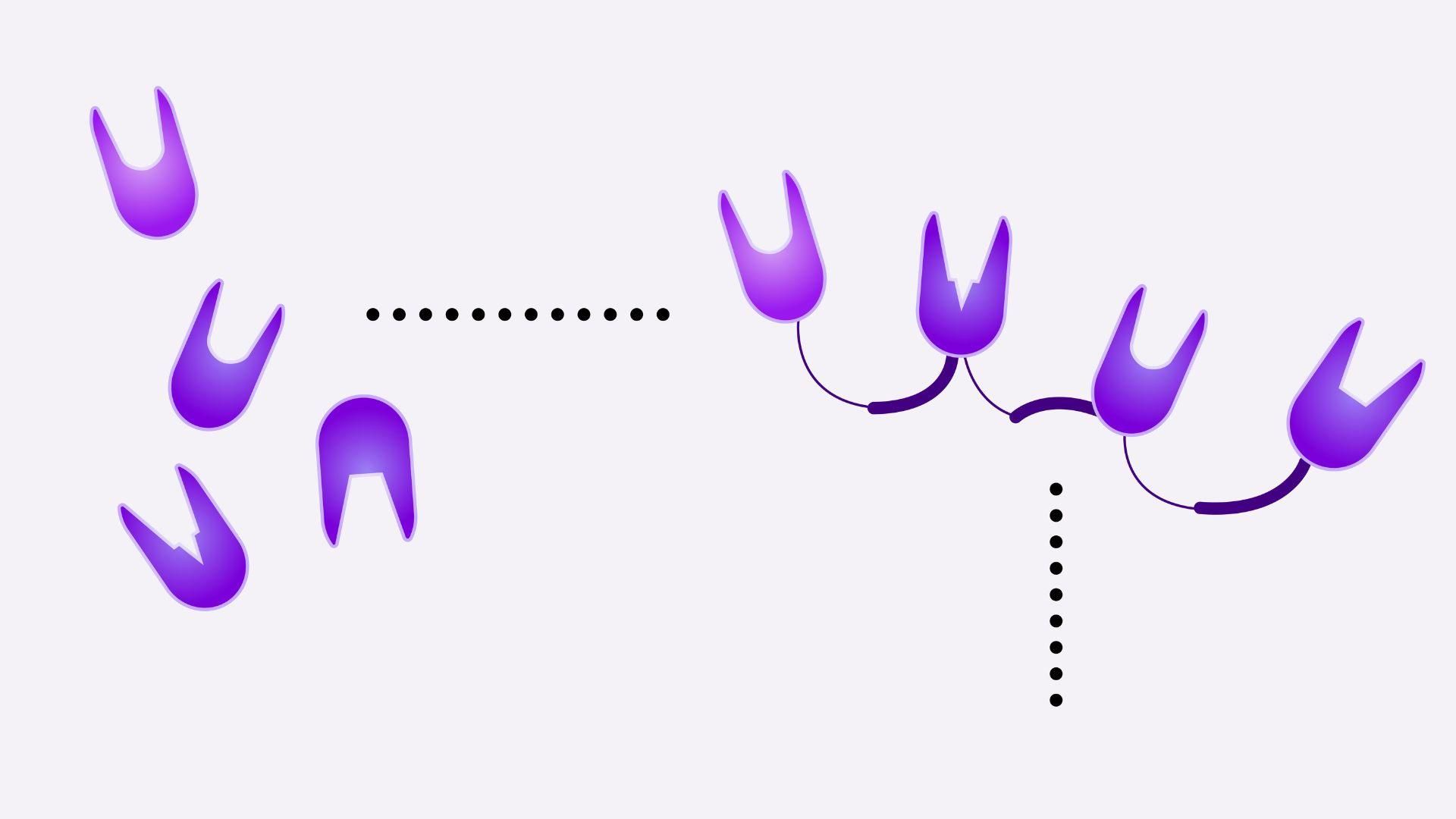 The basic building block of a therapeutic NANOBODY molecule is a fragment from one domain of a heavy-chain antibody (left). Fragments from different heavy-chain antibodies can be strung together (right)
