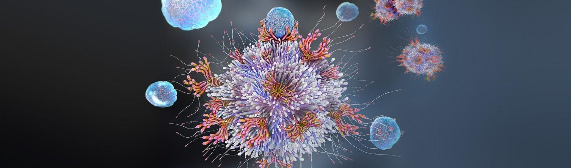 Interprétation artistique d’un lymphocyte T (globule blanc) se liant à un antigène. [Illustration : Getty Images]