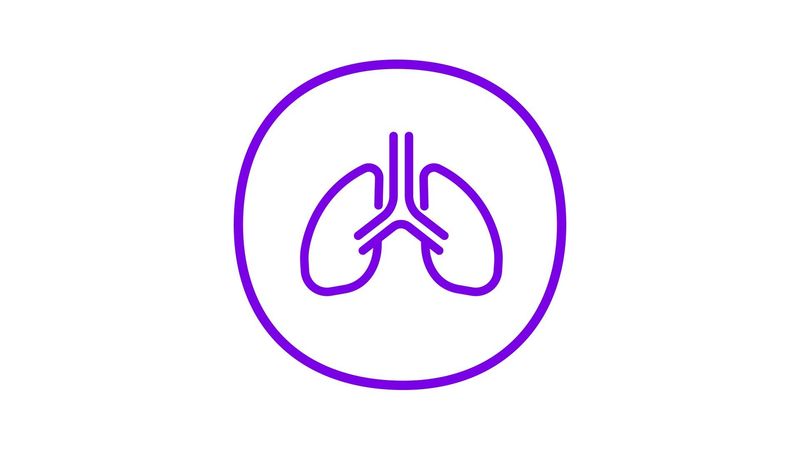 lungs icon